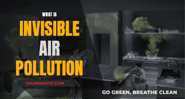 Air Pollution: The Invisible Danger Around Us