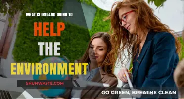 Ireland's Green Revolution: Environmental Initiatives and Sustainable Progress