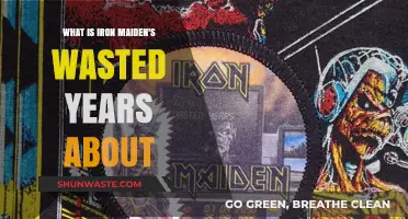 Unraveling Iron Maiden's 'Wasted Years': Themes, Lyrics, and Legacy