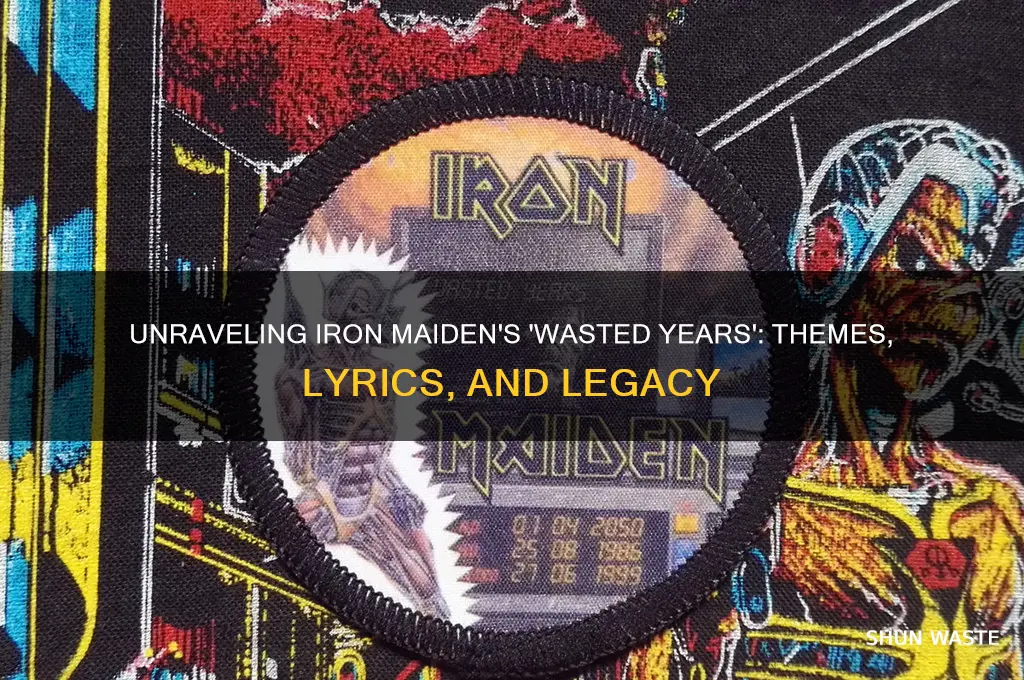 what is iron maiden