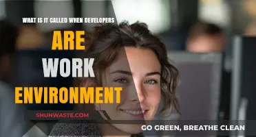 Understanding the Developer Work Environment: Key Terms and Concepts
