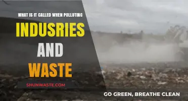 Industrial Pollution and Waste: Understanding Environmental Degradation Causes
