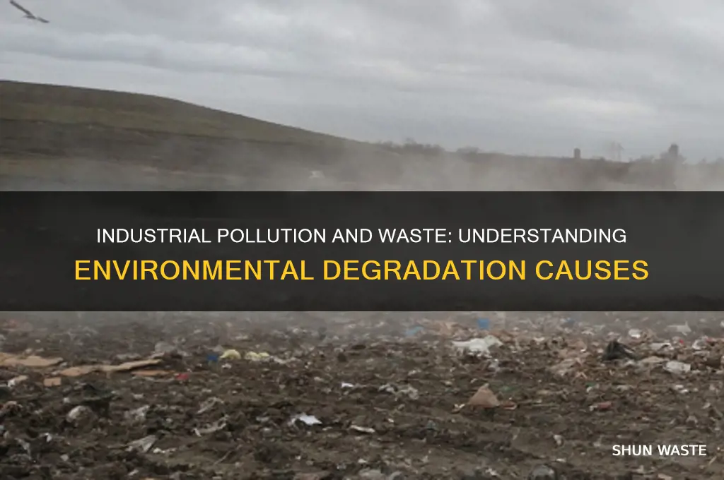 what is it called when polluting indusries and waste