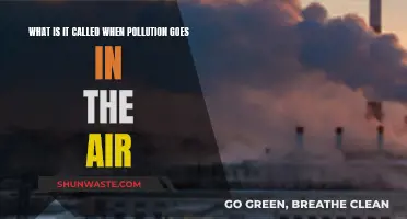 Air Pollution: Understanding the Contamination of Our Atmosphere