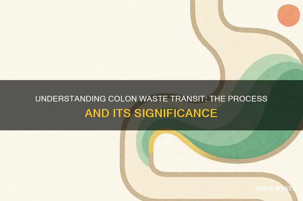 what is it called when waste flows through the colon