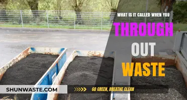Understanding Waste Disposal: What’s the Term for Throwing Out Trash?