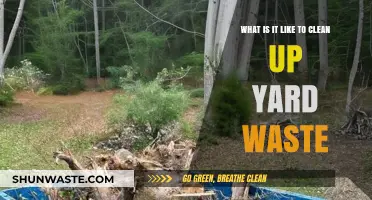 Tackling Yard Waste: A Hands-On Guide to Cleanup and Disposal