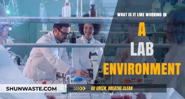 Exploring the Unique Experience of Working in a Lab Environment