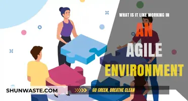 Thriving in Agile: A Day in the Life of Dynamic Teams