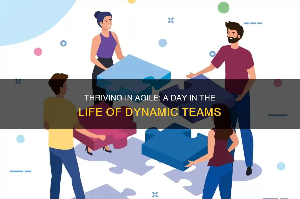 what is it like working in an agile environment