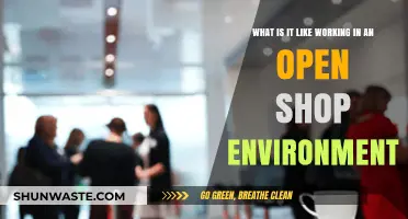 Open Shop Work Culture: Benefits, Challenges, and Real-Life Experiences