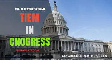 Congressional Time Wasting: Understanding Delays and Inefficiencies in Legislation