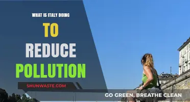 Italy's Anti-Pollution Efforts: Strategies and Impact