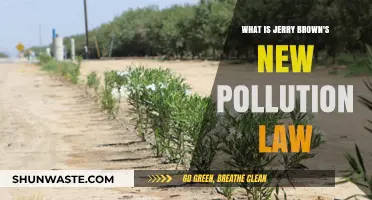 Jerry Brown's New Pollution Law: A Step Forward