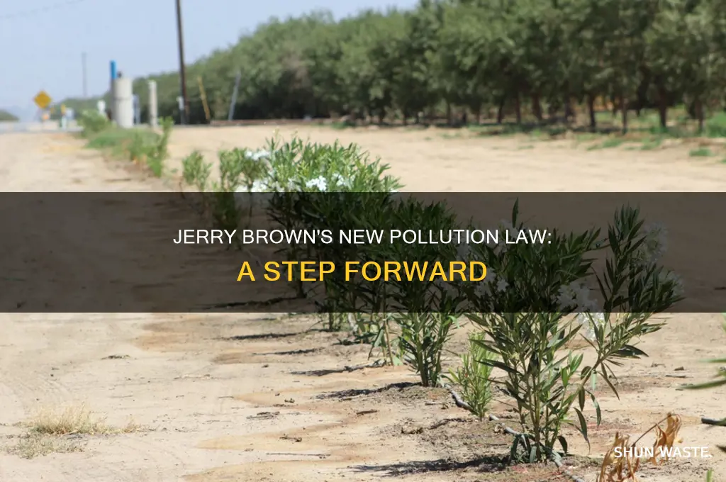 what is jerry brown
