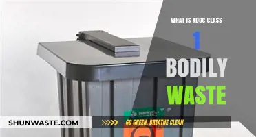 Understanding KDOC Class 1 Bodily Waste: Definition, Handling, and Safety