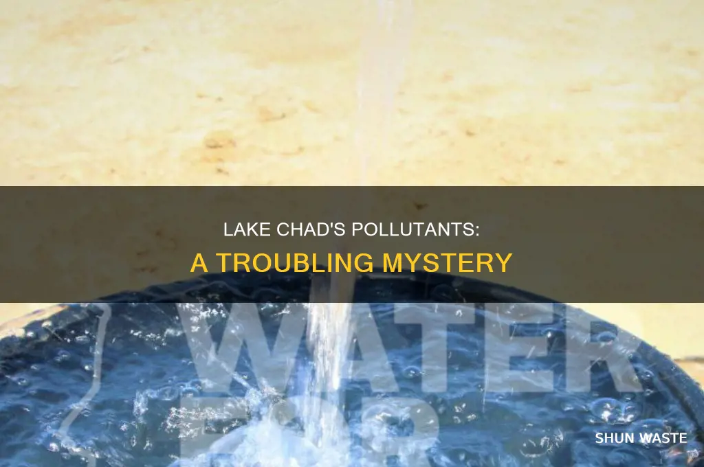 what is lake chad being polluted by