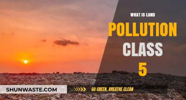 Land Pollution: Harmful Effects and Simple Solutions