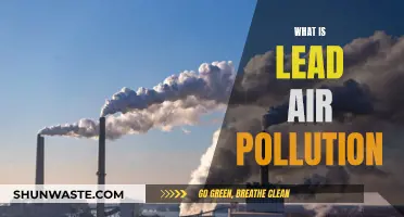 Air Pollution: Understanding Lead's Impact