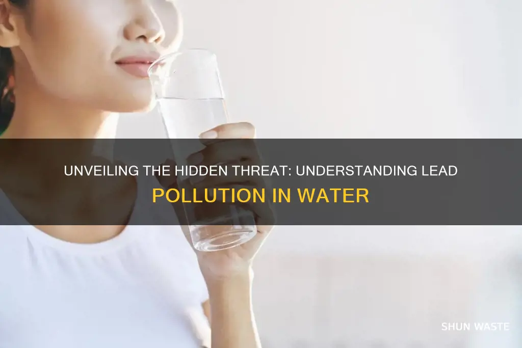 what is lead pollution in water