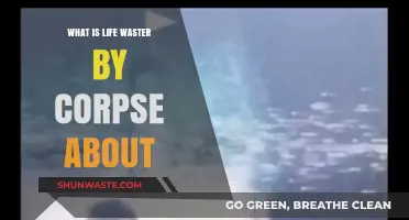 Life Waster by Corpse: Unraveling the Dark Themes and Meaning