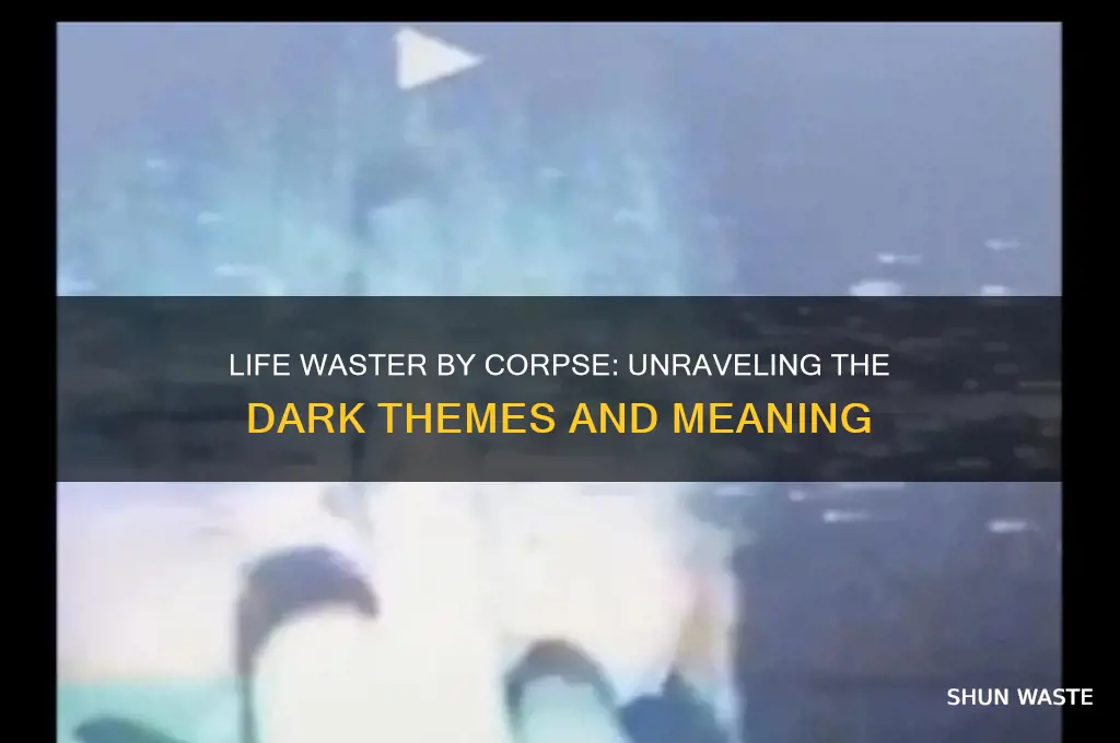 what is life waster by corpse about