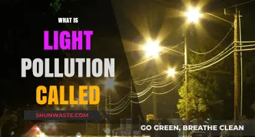 Understanding Light Pollution and Its Impact