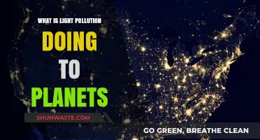 Light Pollution: Planetary Impact and Our Darkening Skies