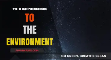 Light Pollution: Environmental Impact and Solutions