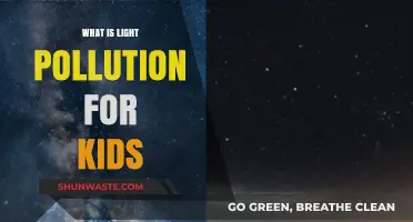 Light Pollution: Understanding the Dark Side of Lights