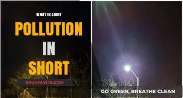 Light Pollution: Understanding the Dark Side of Lights
