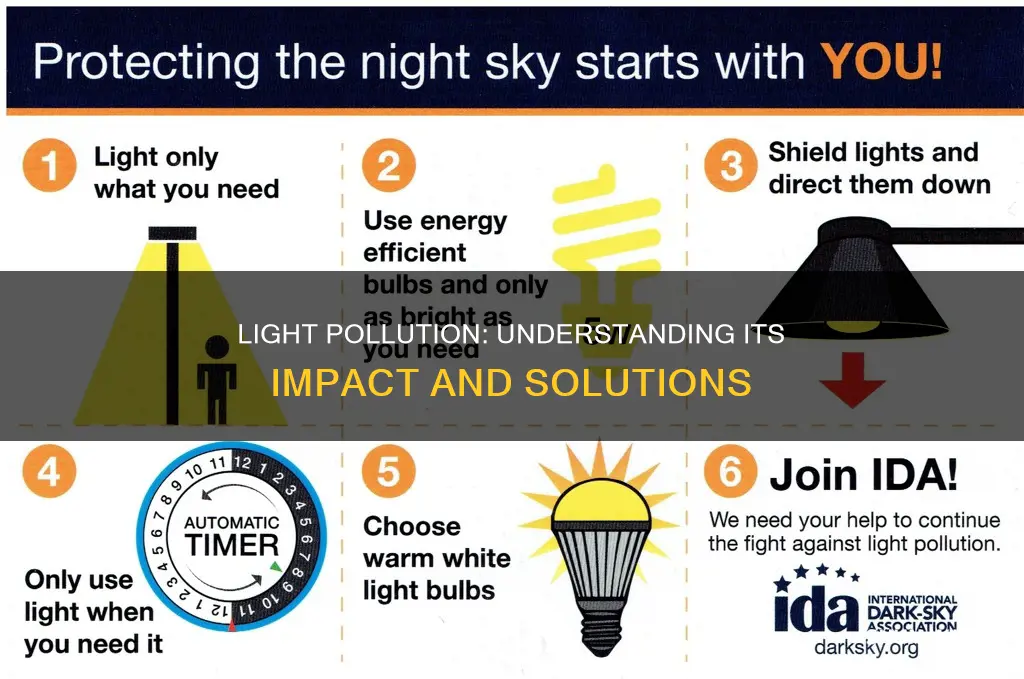 what is light pollution org
