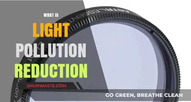 Reducing Light Pollution: Preserving the Night Sky