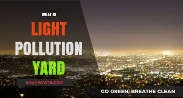 Light Pollution: Yard Lighting's Dark Side