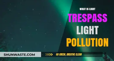 Light Trespass: Understanding Light Pollution and Its Impact