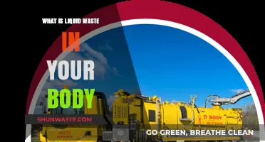 Understanding Liquid Waste: Your Body's Natural Detox Process Explained