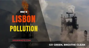 Lisbon's Pollution Problem: A City's Battle