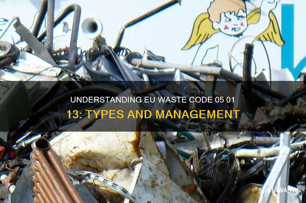 what is list of wastes eu 05 01 13