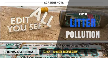 Litter Pollution: Understanding the Global Garbage Crisis