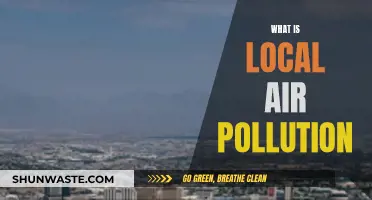 Air Pollution's Local Impact: Understanding the Basics