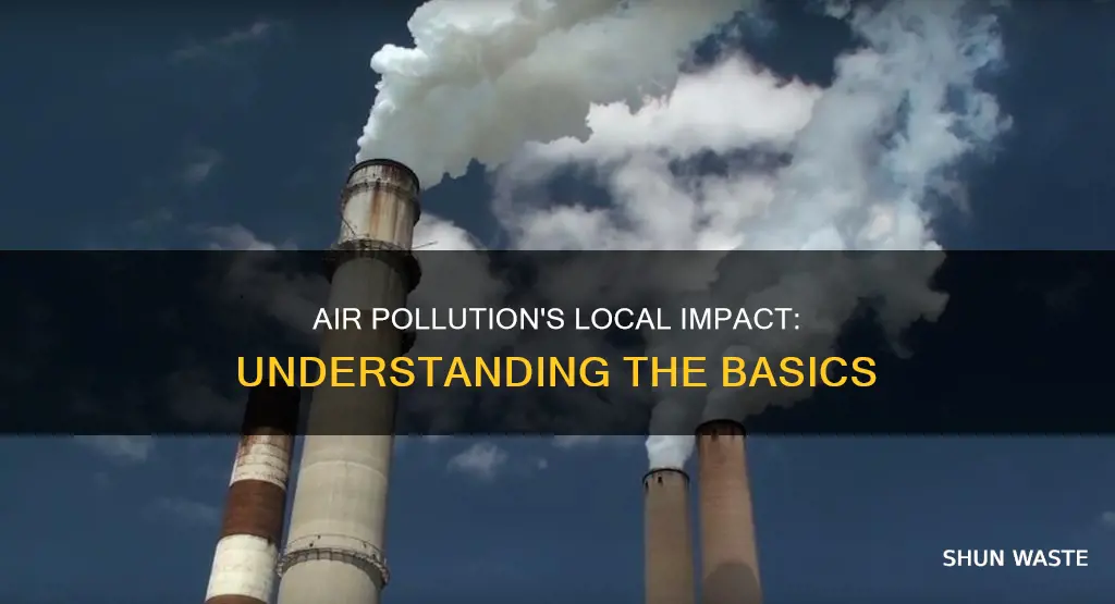 what is local air pollution