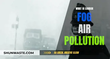 London Fog: Air Pollution Mystery Unveiled