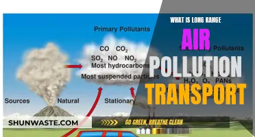 Air Pollution's Long Reach: Transport Understanding