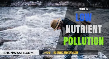 Nutrient Pollution: What It Is and Why It Matters