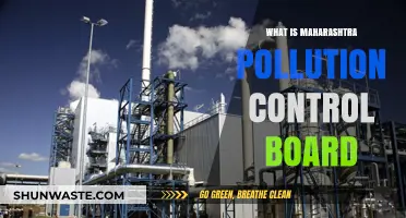 Maharashtra Pollution Control Board: Role and Responsibilities