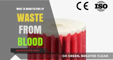 Understanding the Key Filters That Purify Blood from Waste