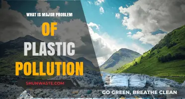 Plastic Pollution: A Global Crisis