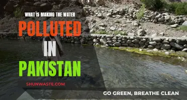 Unveiling Pakistan's Water Crisis: Sources of Pollution and Solutions