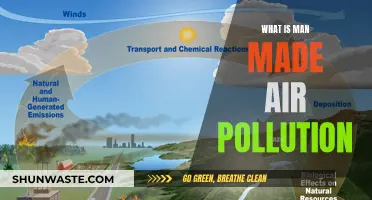 Air Pollution: Man-Made Causes and Effects