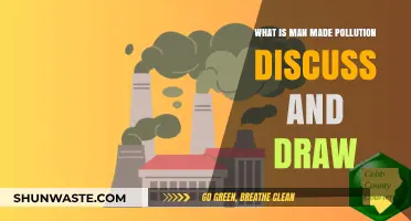 Human-Made Pollution: Visualizing Our Impact